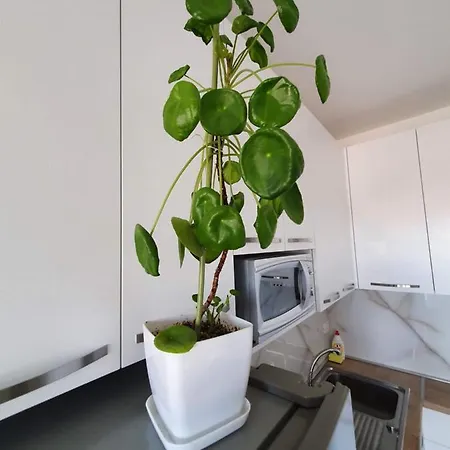 Rovena's - Free Parking Lägenhet